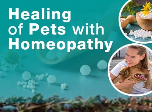 Healing of Pets with Homeopathy
